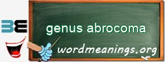 WordMeaning blackboard for genus abrocoma